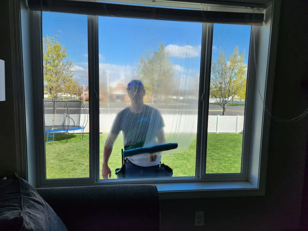 Person outside the window using a squeegee to clean the glass, viewed from inside a living room with a sunny yard outside.